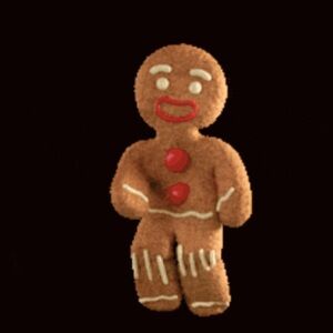 Meet your Posher, Joyce